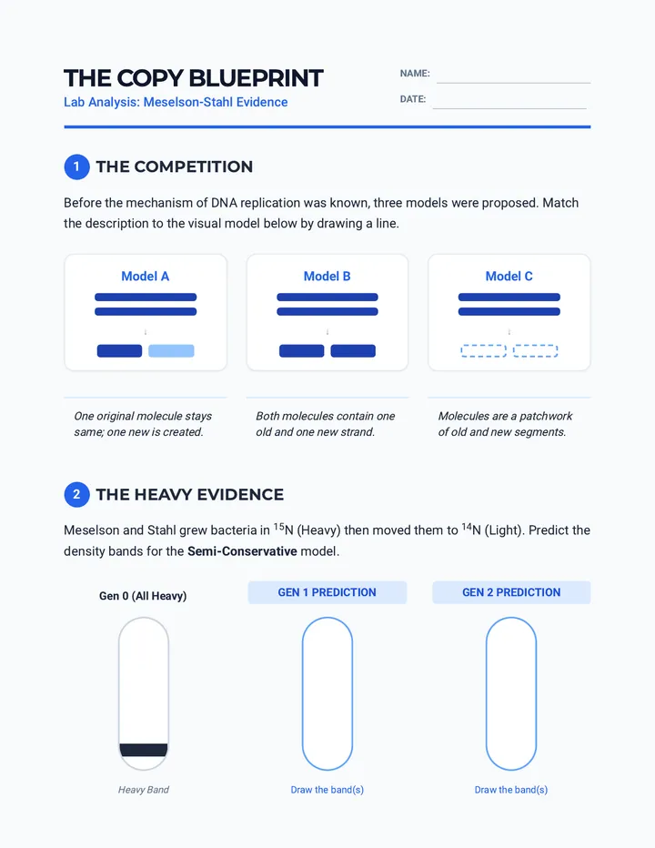 Copy Blueprint Worksheet