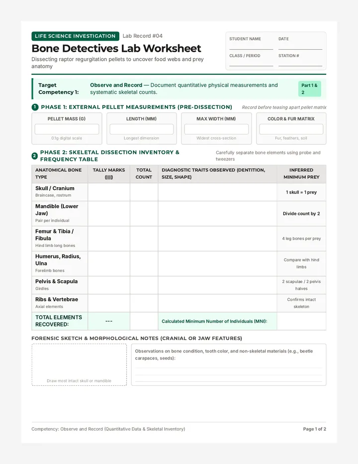 Bone Detectives Lab Worksheet