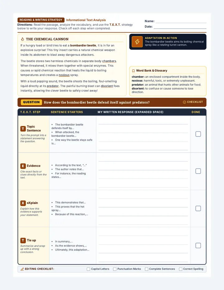 Bombardier Beetle TEXT Worksheet