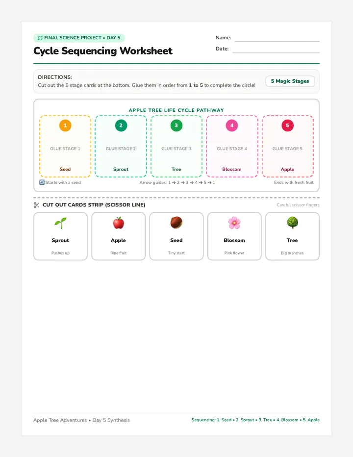 Cycle Sequencing Worksheet