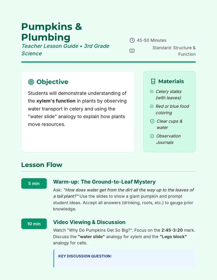 Pumpkins and Plumbing Teacher Guide