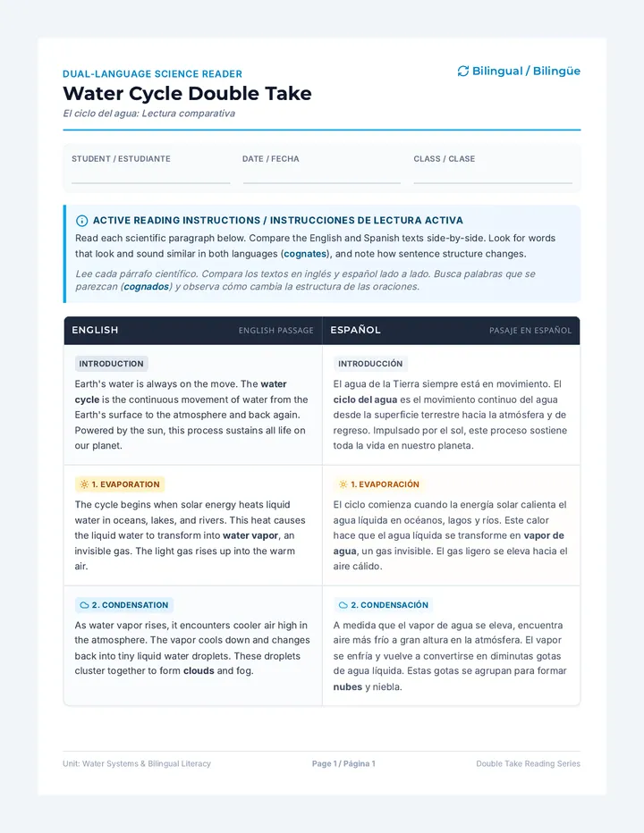 Water Cycle Double Take Worksheet