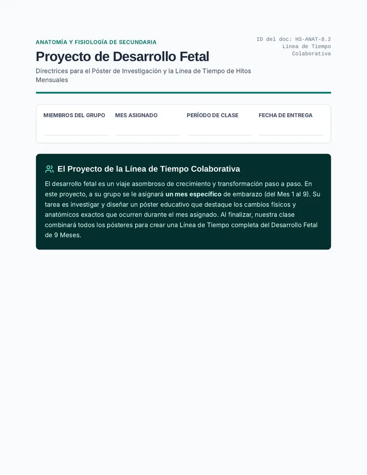 Fetal Development Project Guidelines