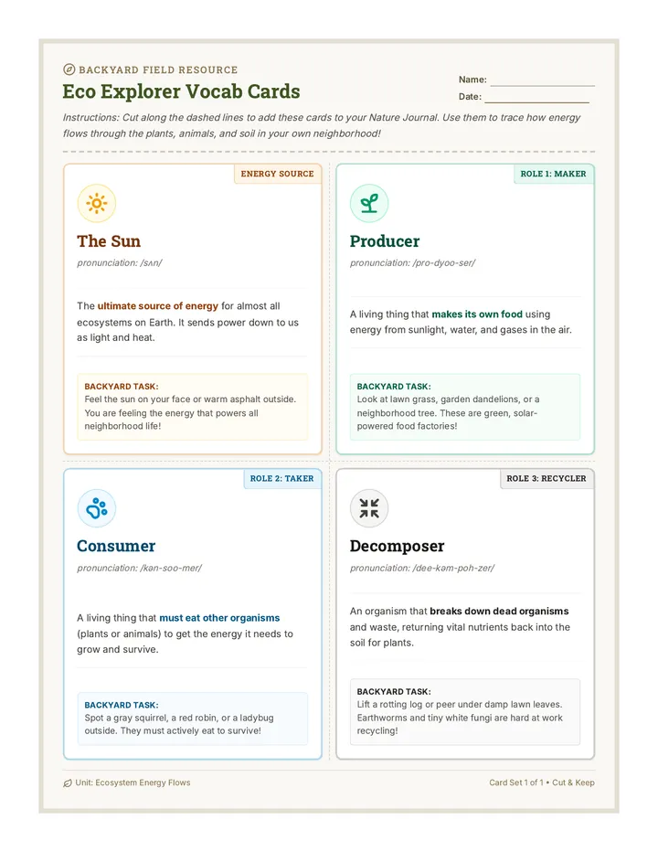 Eco Explorer Vocab Cards