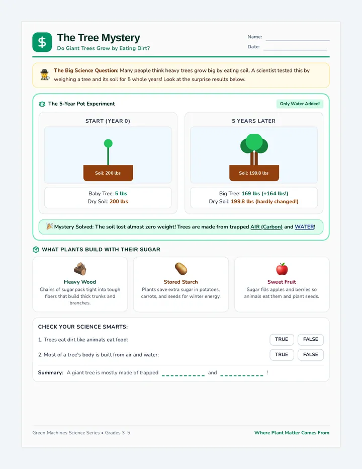 Matter Mystery Worksheet