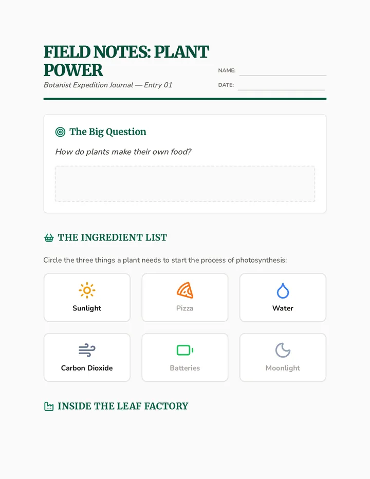 Field Notes Worksheet