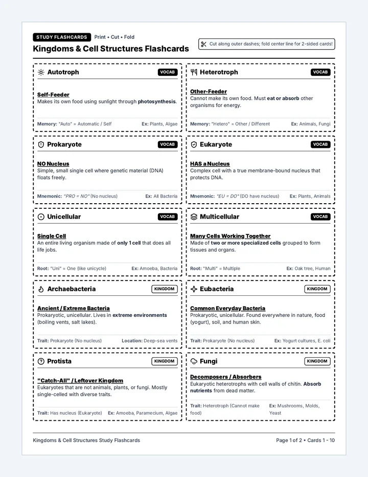 Kingdoms Cells Flashcards