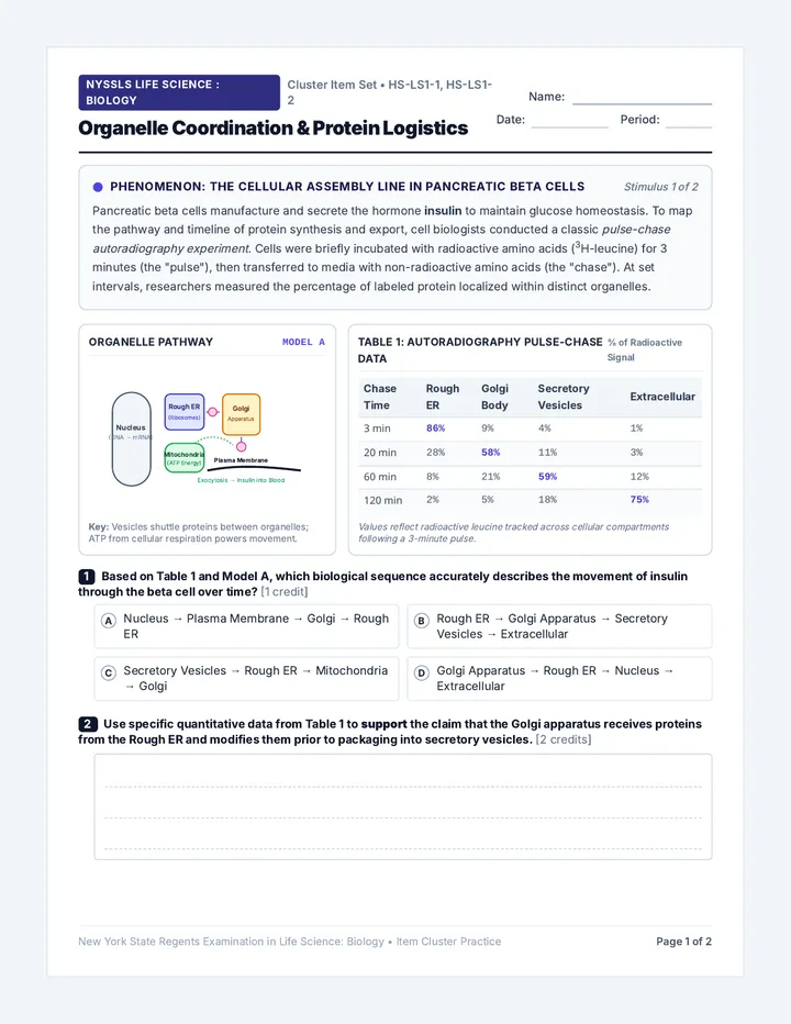 Organelle Logistics Cluster Worksheet
