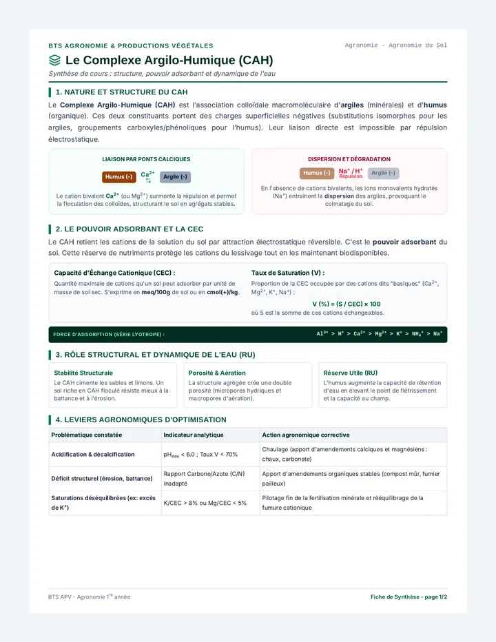 Fiche Synthese CAH