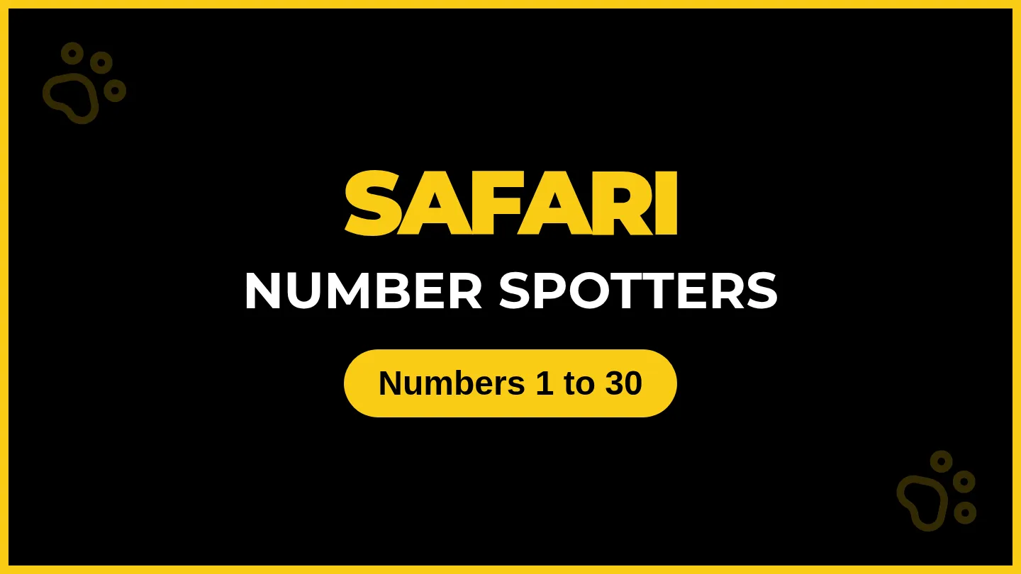 Safari Spotters Slides