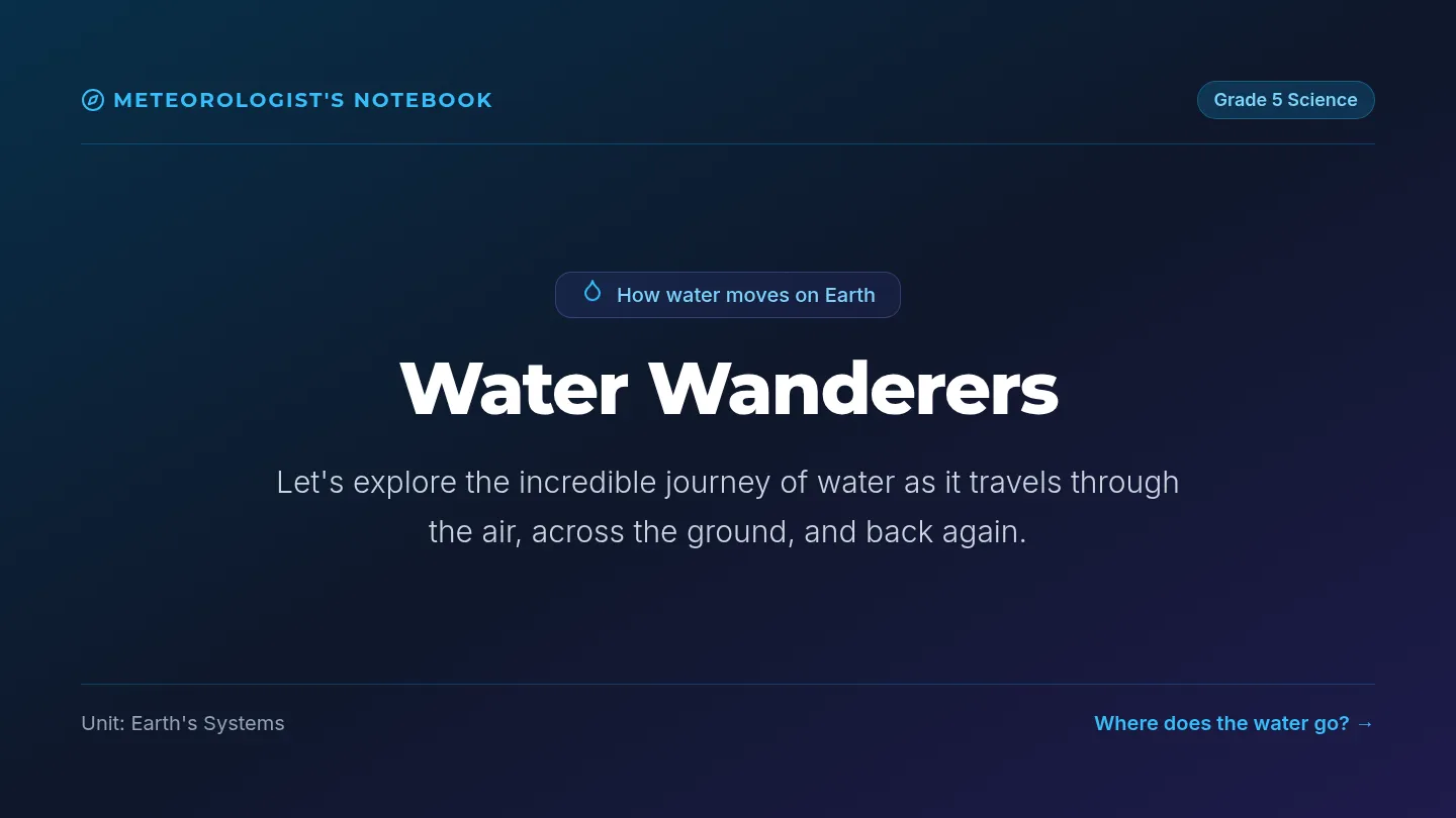 Water Wanderers Slides