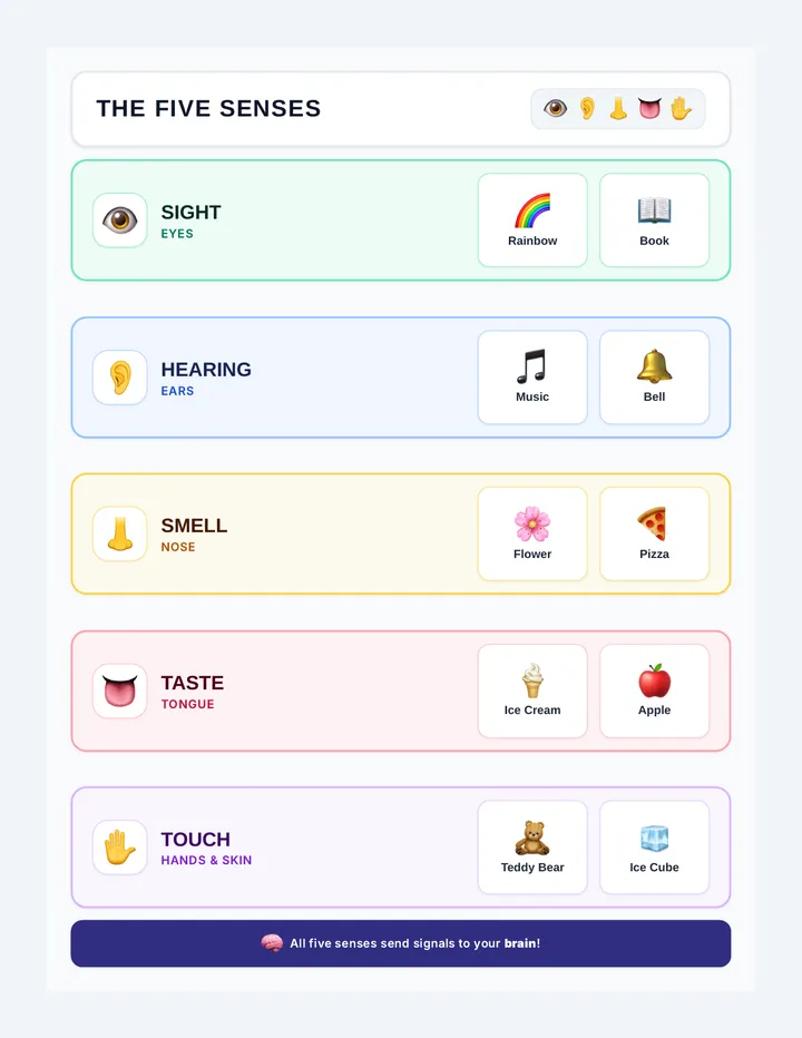 Super Senses Infographic