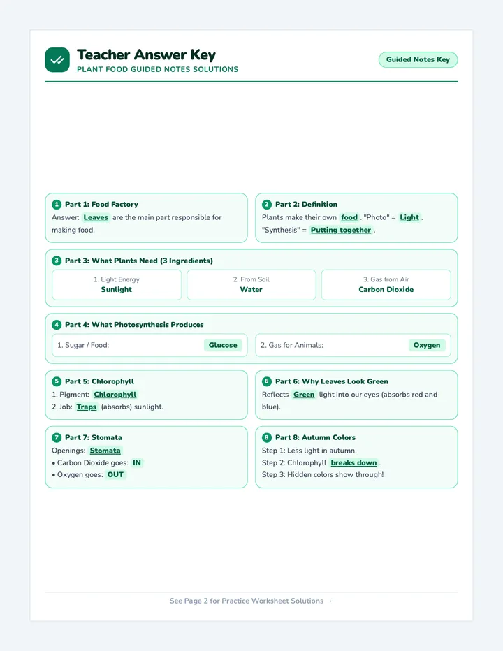 Plant Food Answer Key