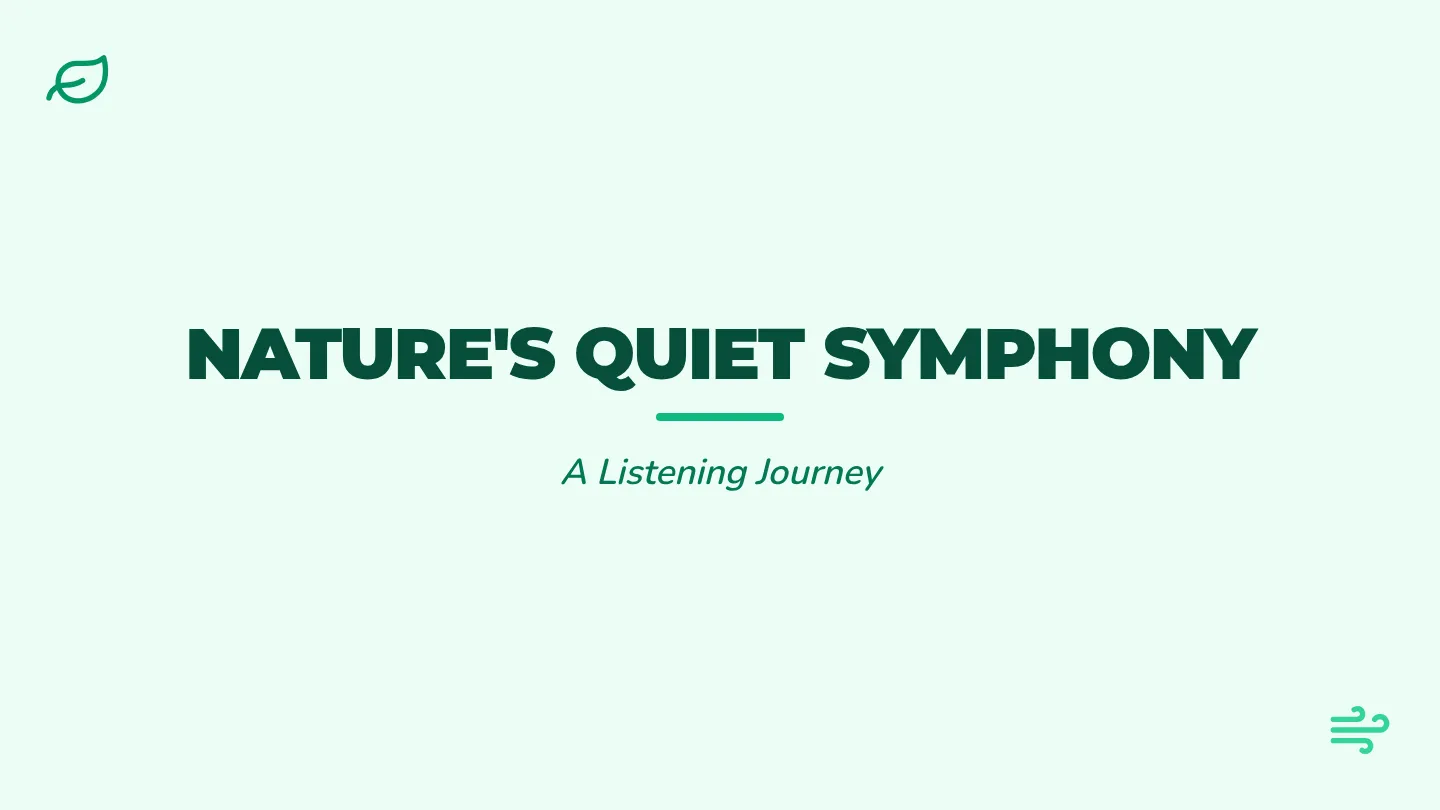 Quiet Symphony Slides
