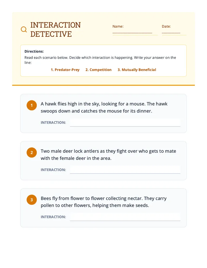 Interaction Detective Worksheet