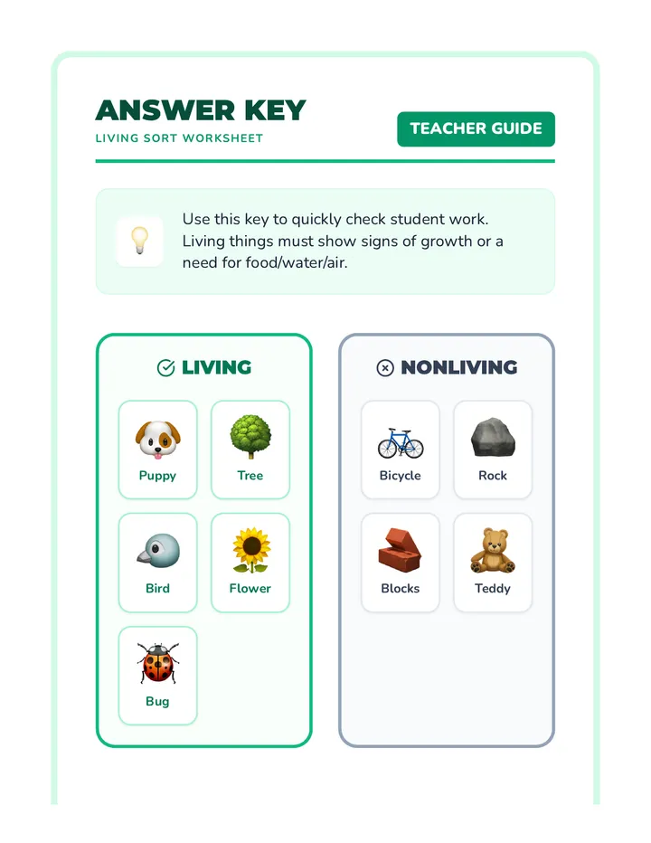 Sorting Answer Key
