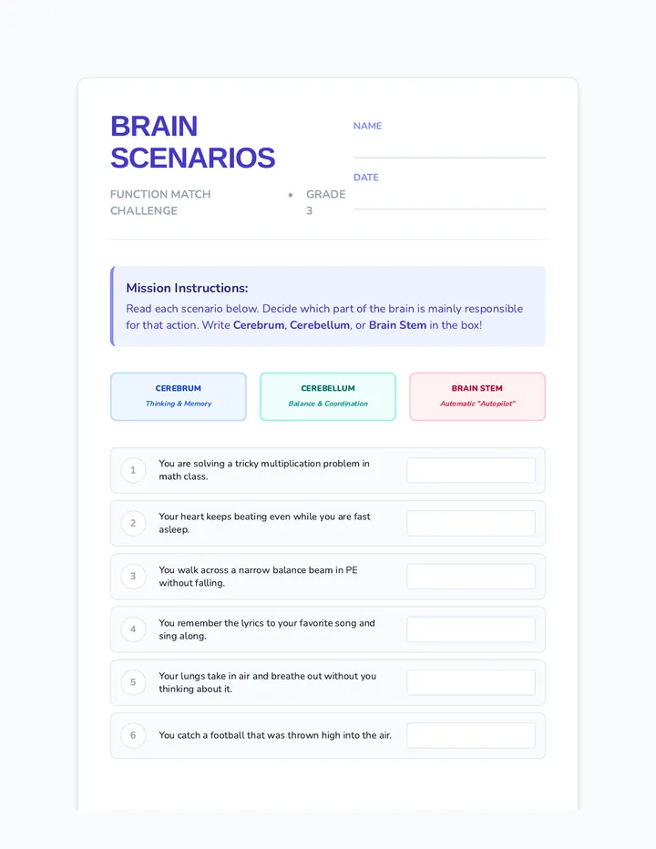 Brain Scenarios Worksheet
