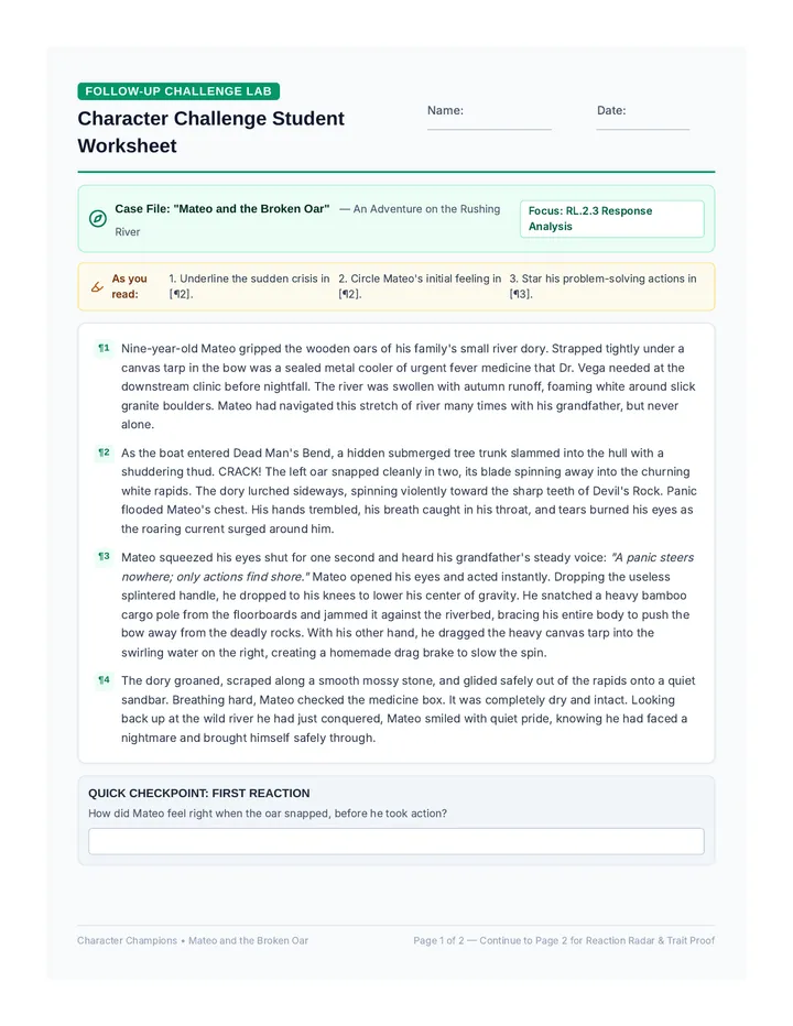 Character Challenge Student Worksheet