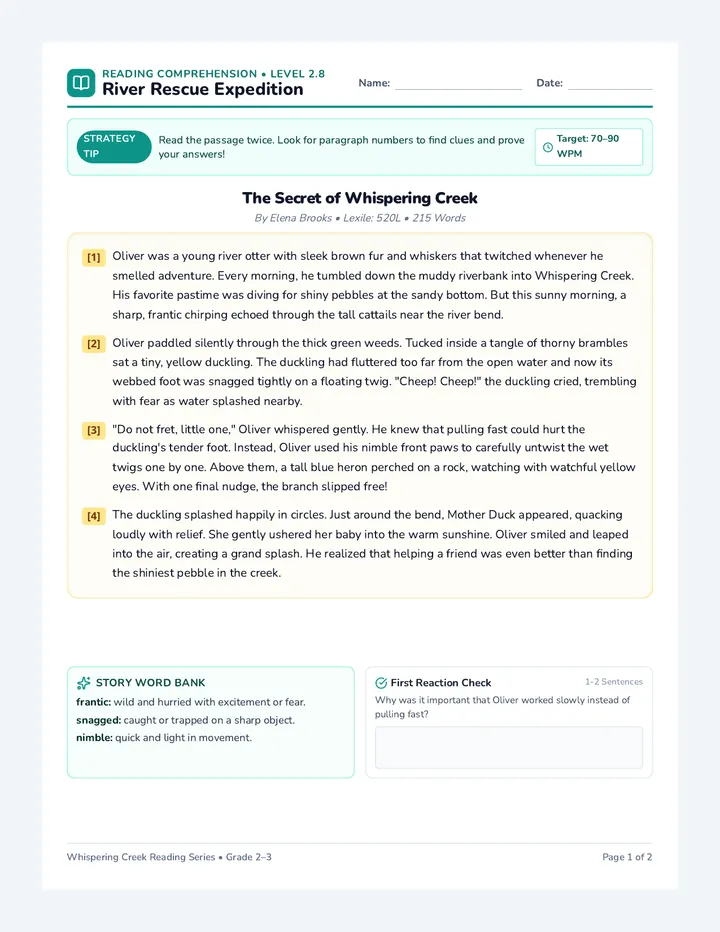 River Rescue Comprehension Worksheet