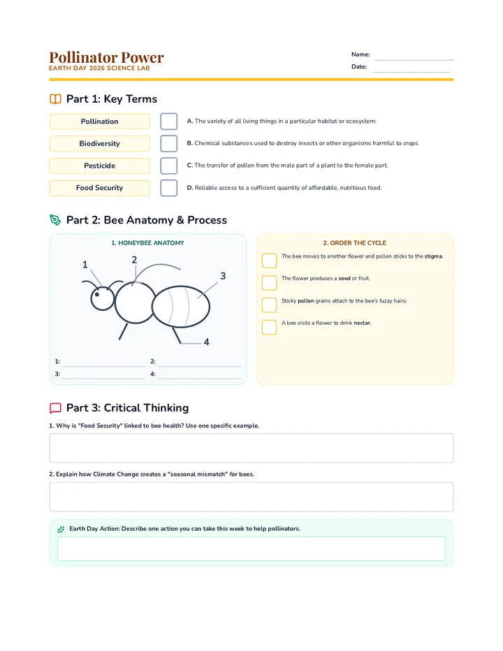 Pollinator Power Worksheet