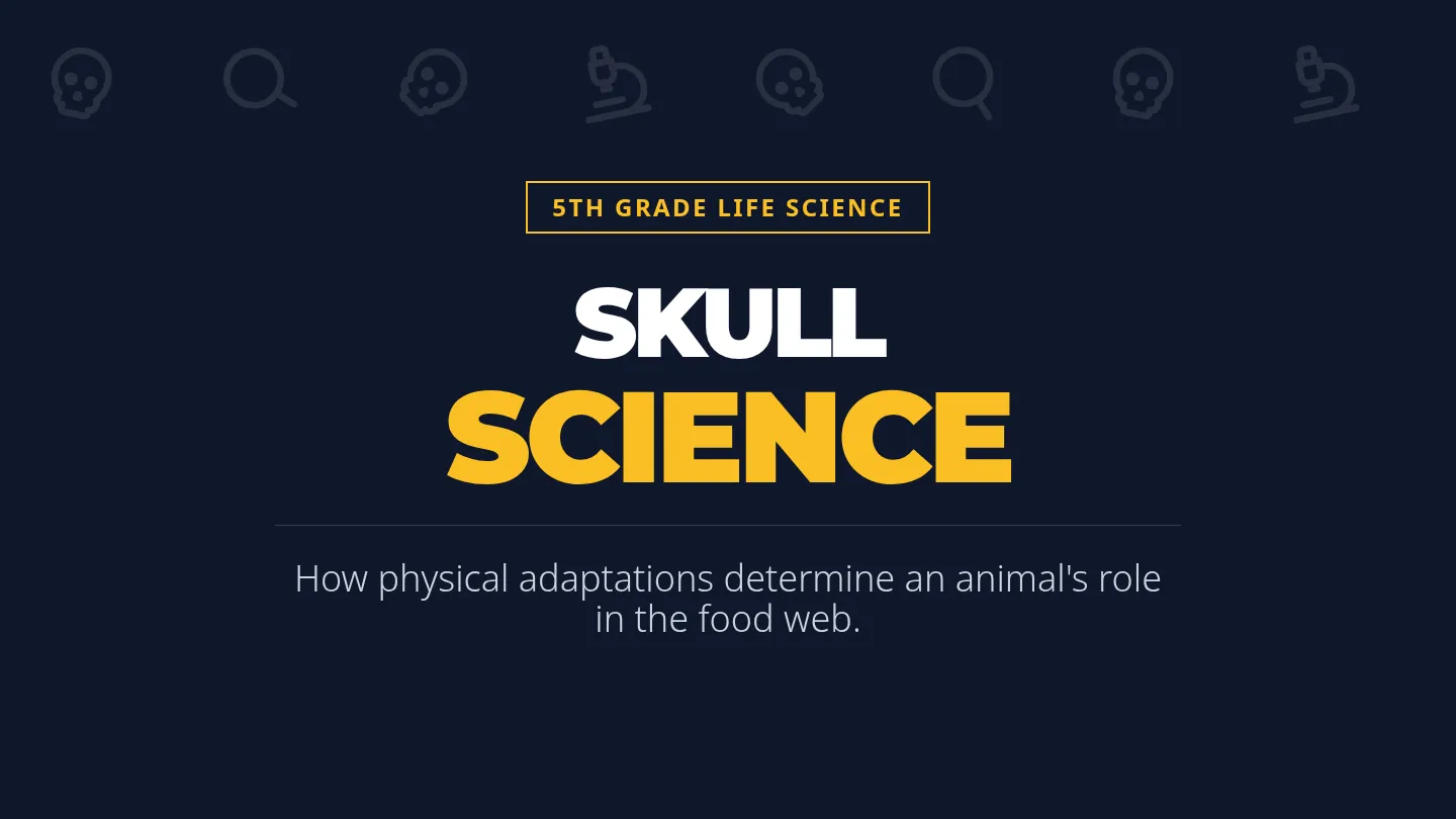 Skull Science Slides Revision