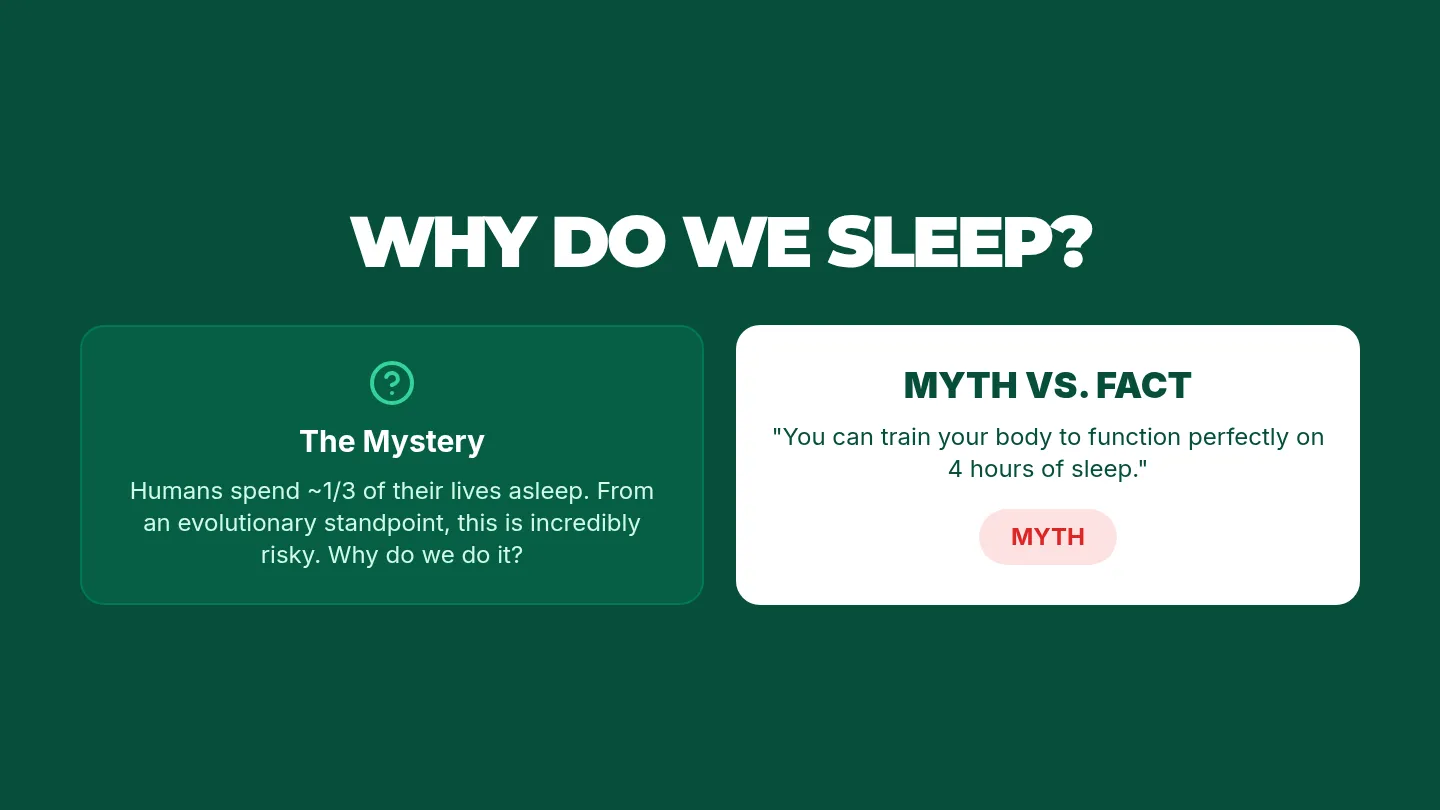 Why We Sleep Slides