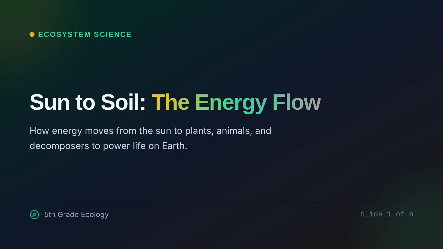 Sun to Soil Slides