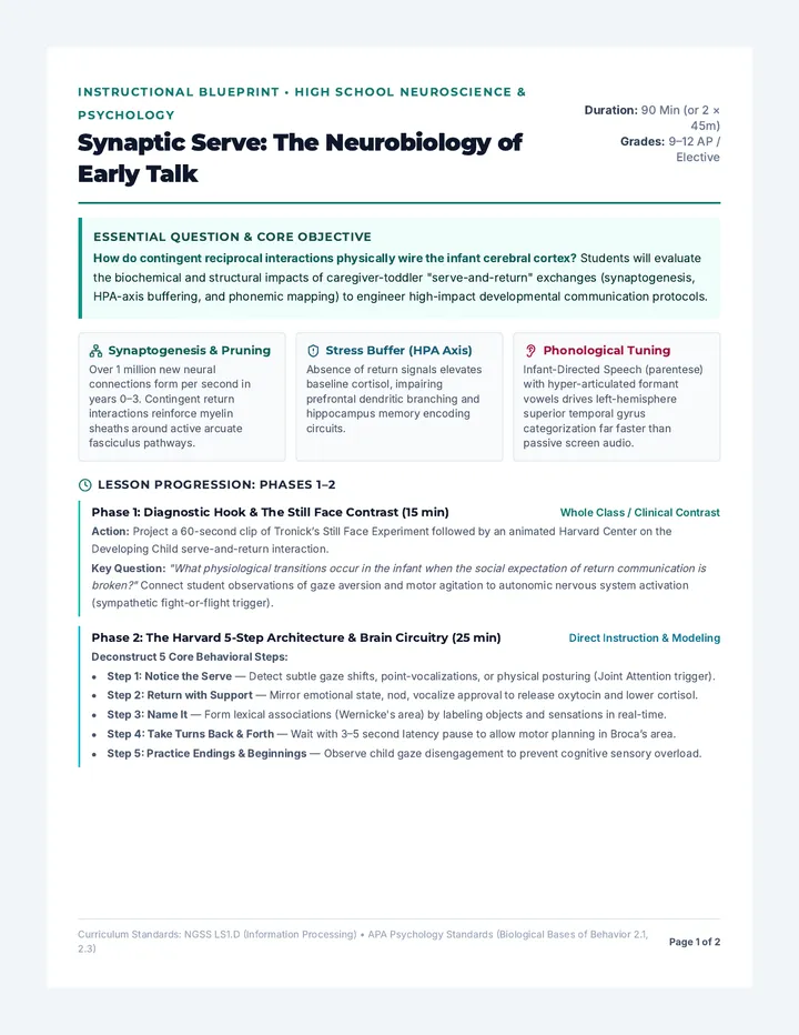 Synaptic Serve Lesson Plan