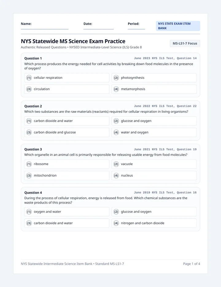 State Exam Practice Handout