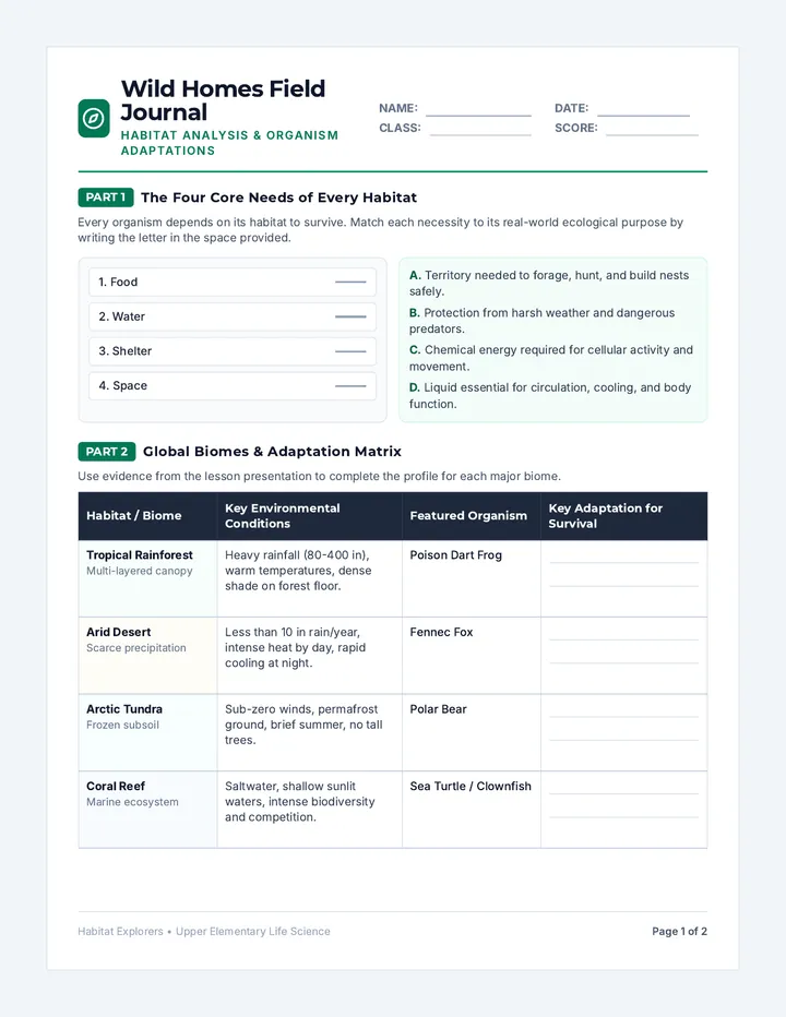 Wild Homes Worksheet