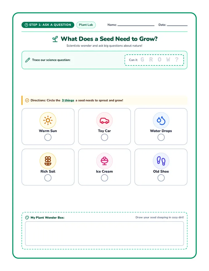Seed Wonder Question Worksheet