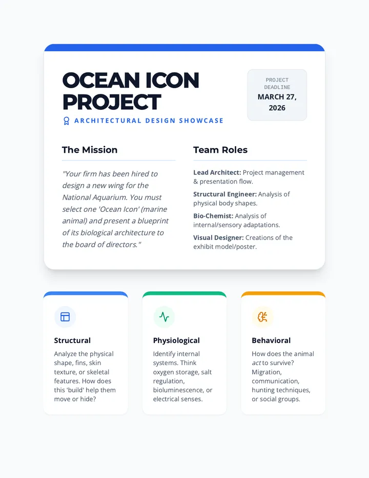 Ocean Icon Project Guide