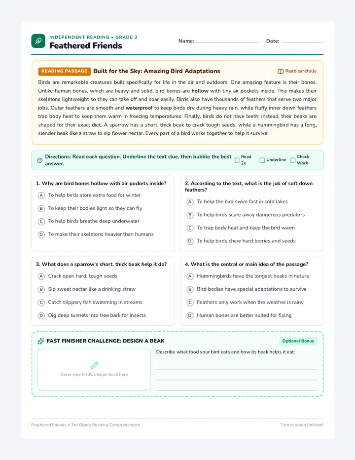 Feathered Friends Worksheet
