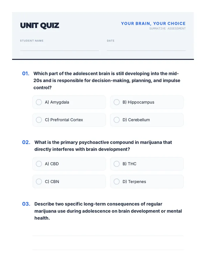 Unit Quiz Assessment Worksheet