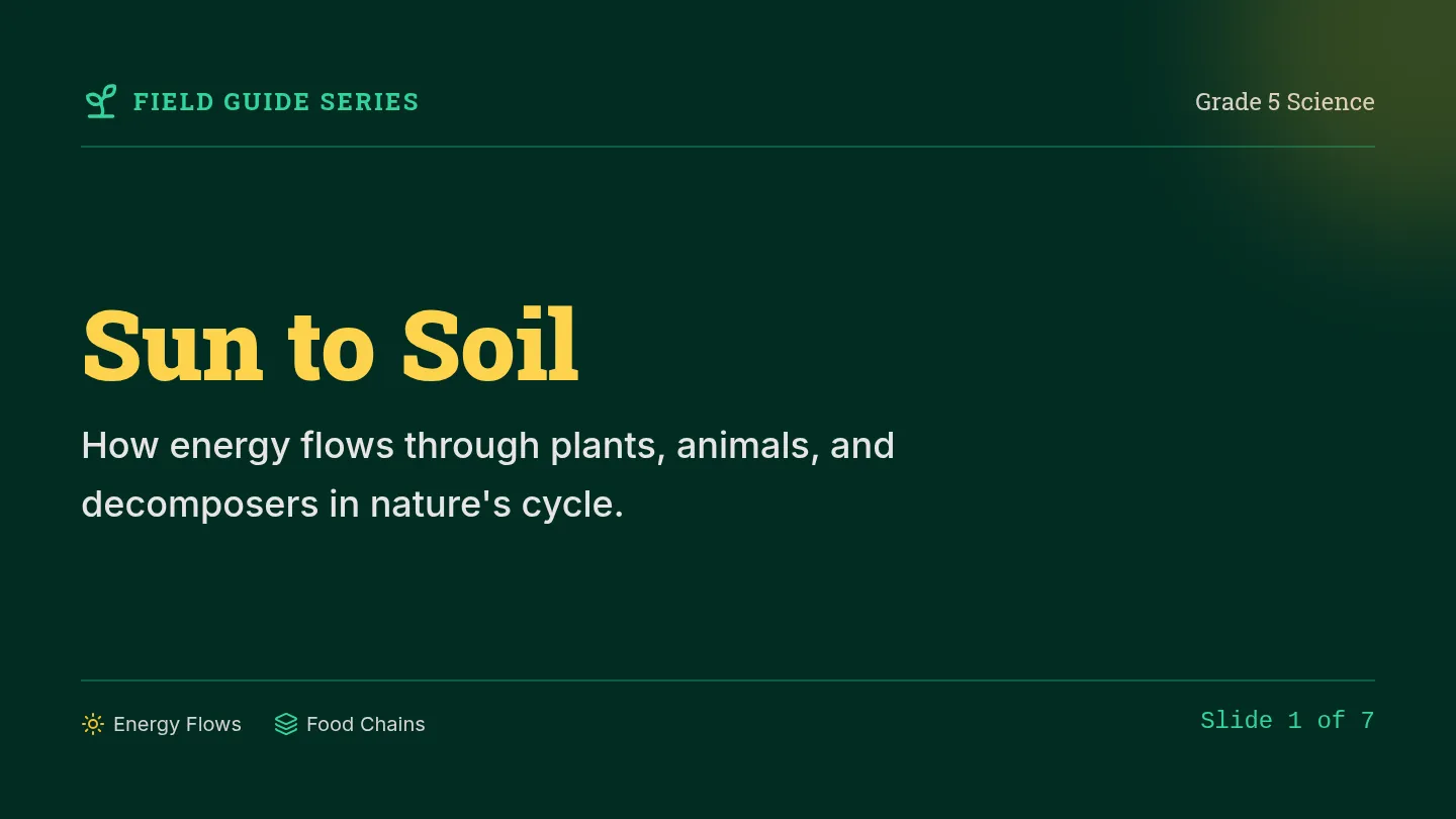 Sun to Soil Slides