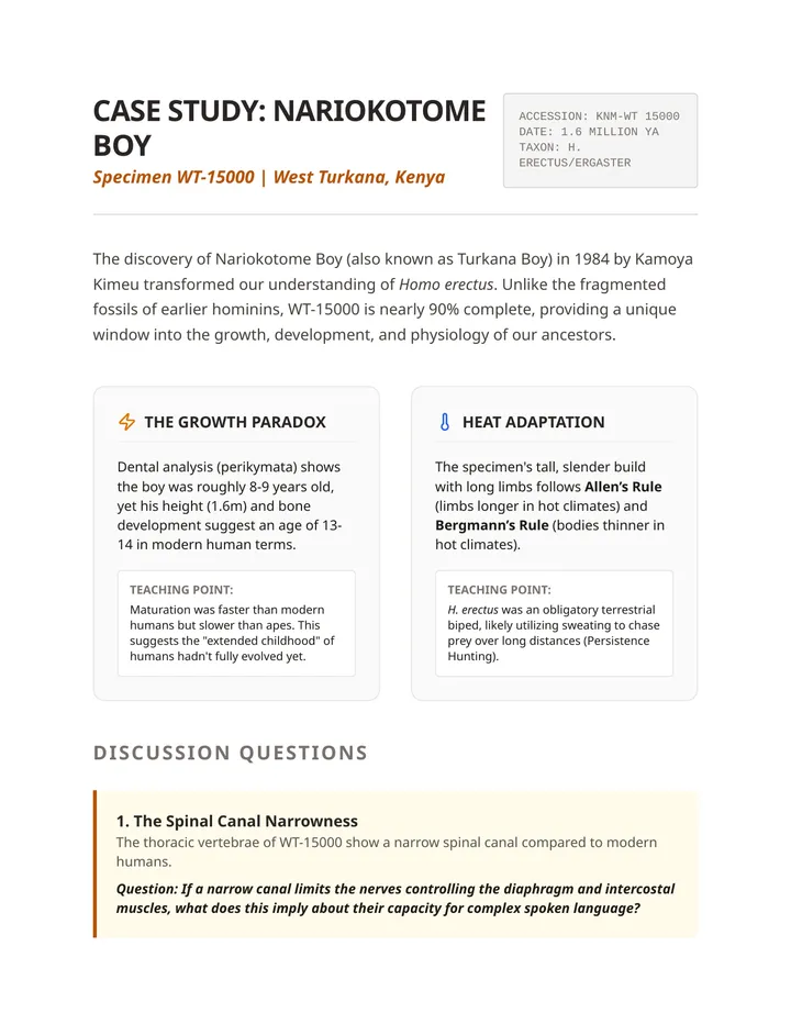 Nariokotome Boy Analysis Guide