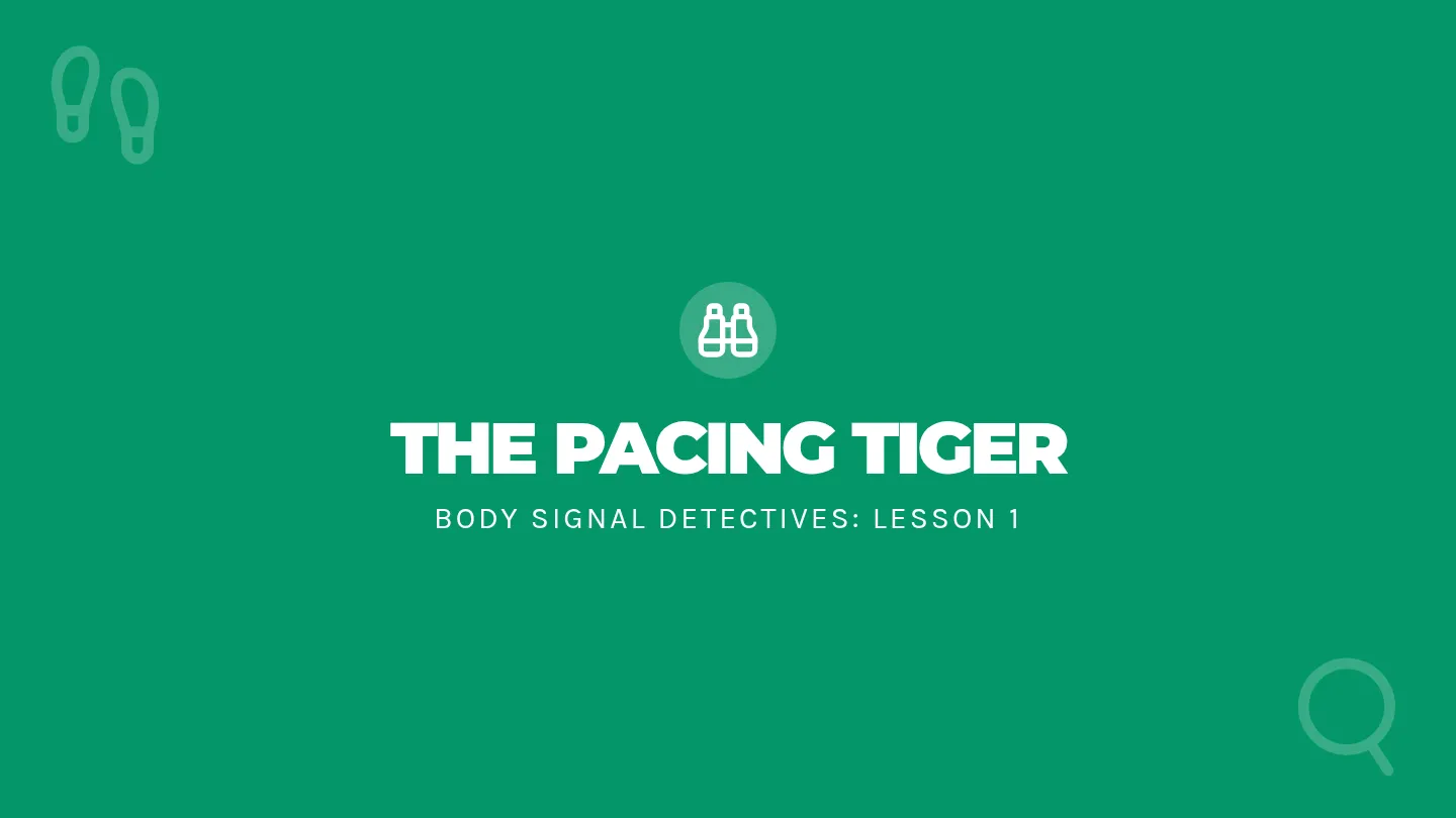 Pacing Tiger Slides