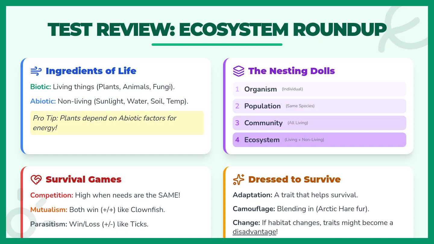 Ecosystem Review Roundup Slide