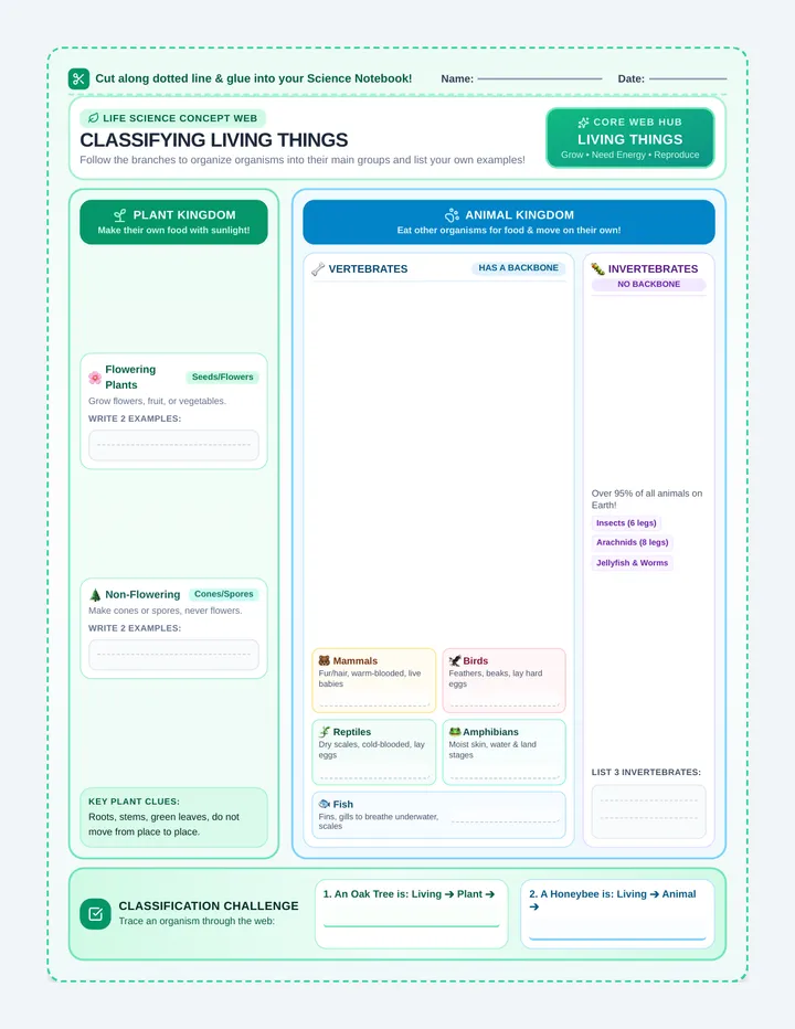 Classifying Living Things Web