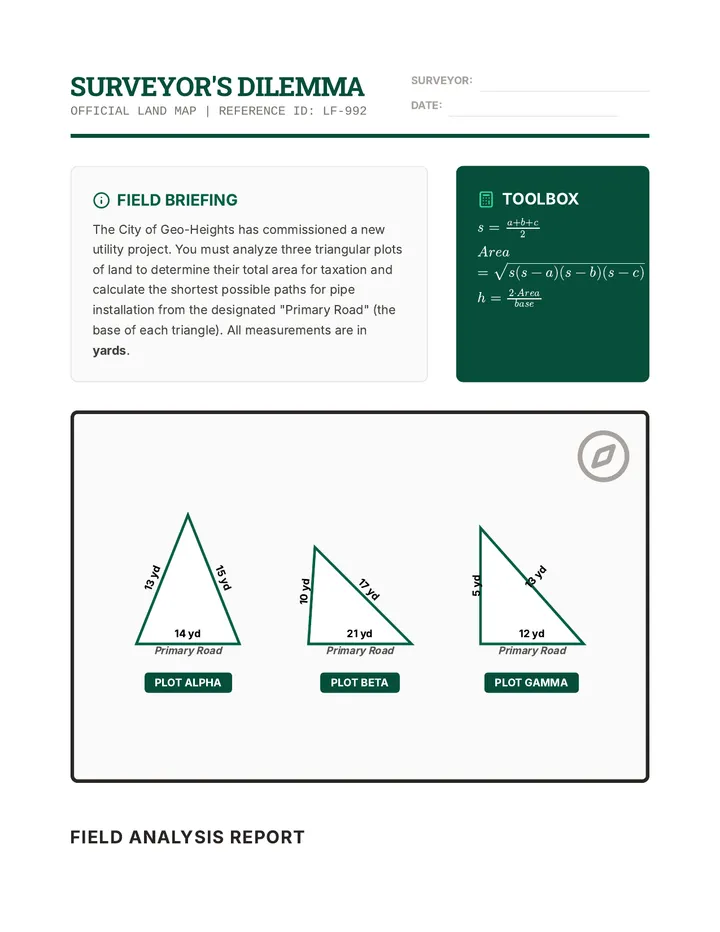 Surveyor Dilemma Map Handout