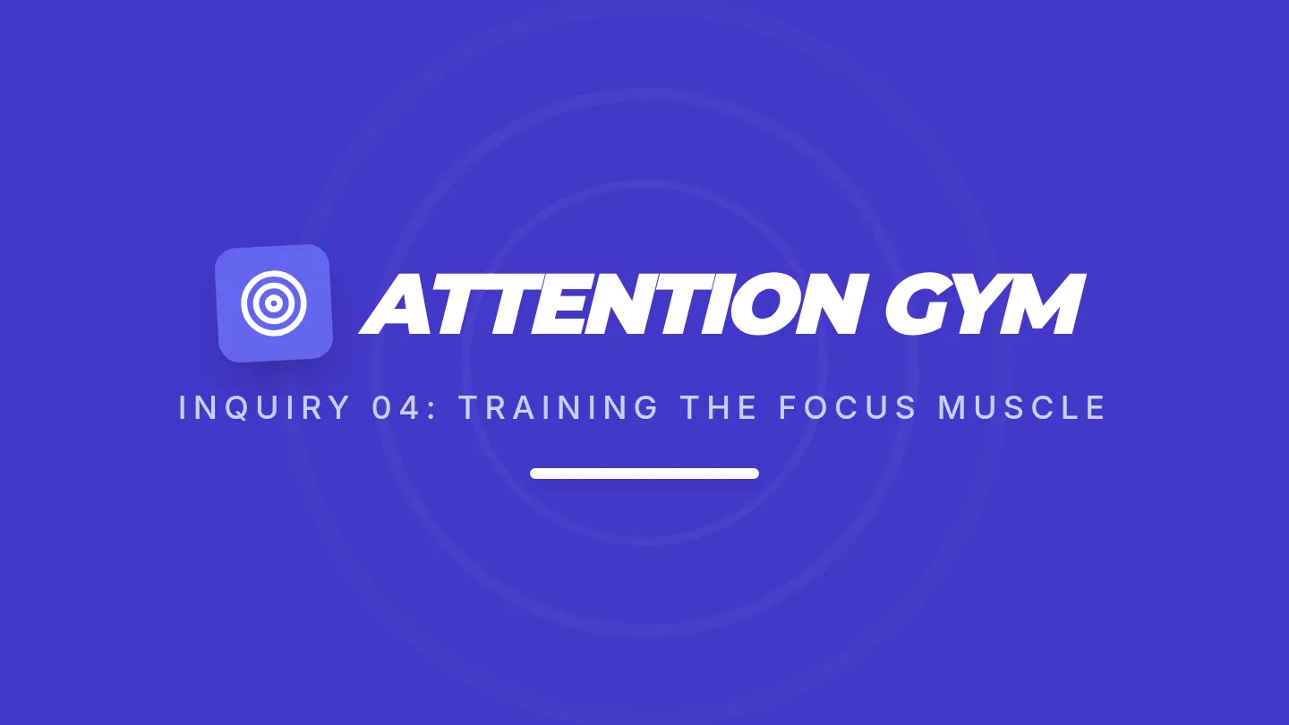Attention Gym Slides