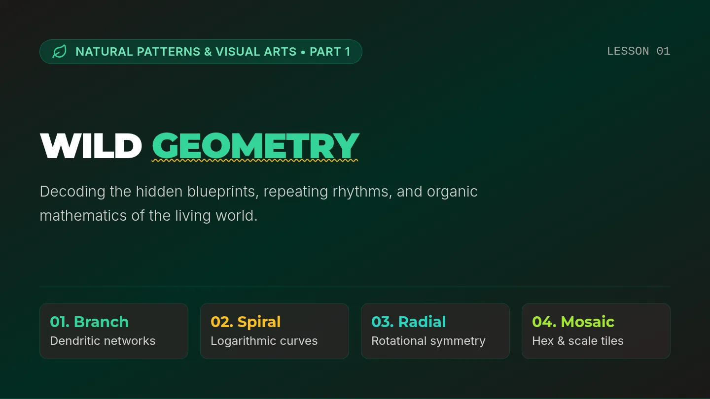 Wild Geometry Slides