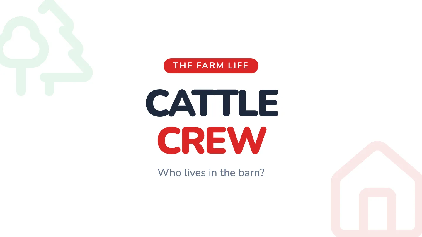 Cattle Crew Slides
