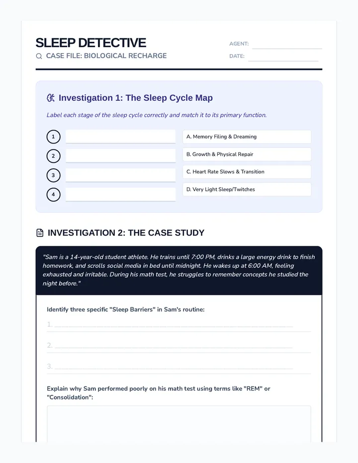 Sleep Detective Worksheet