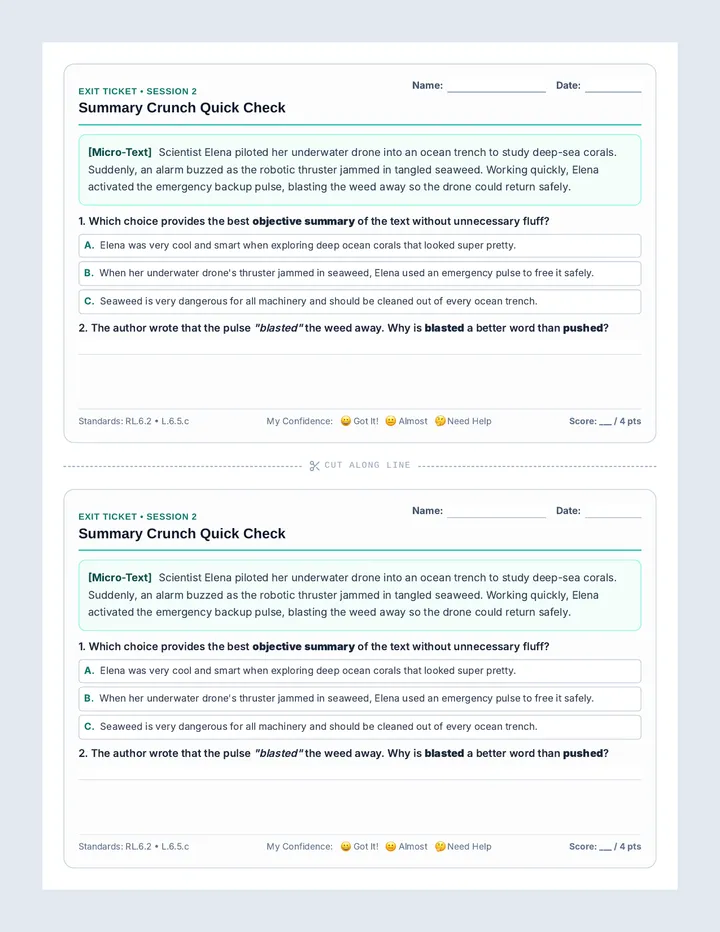 Summary Crunch Exit Ticket