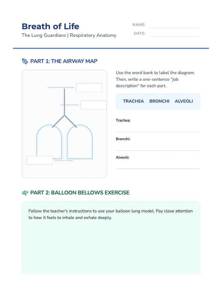Bellows and Balloons Worksheet