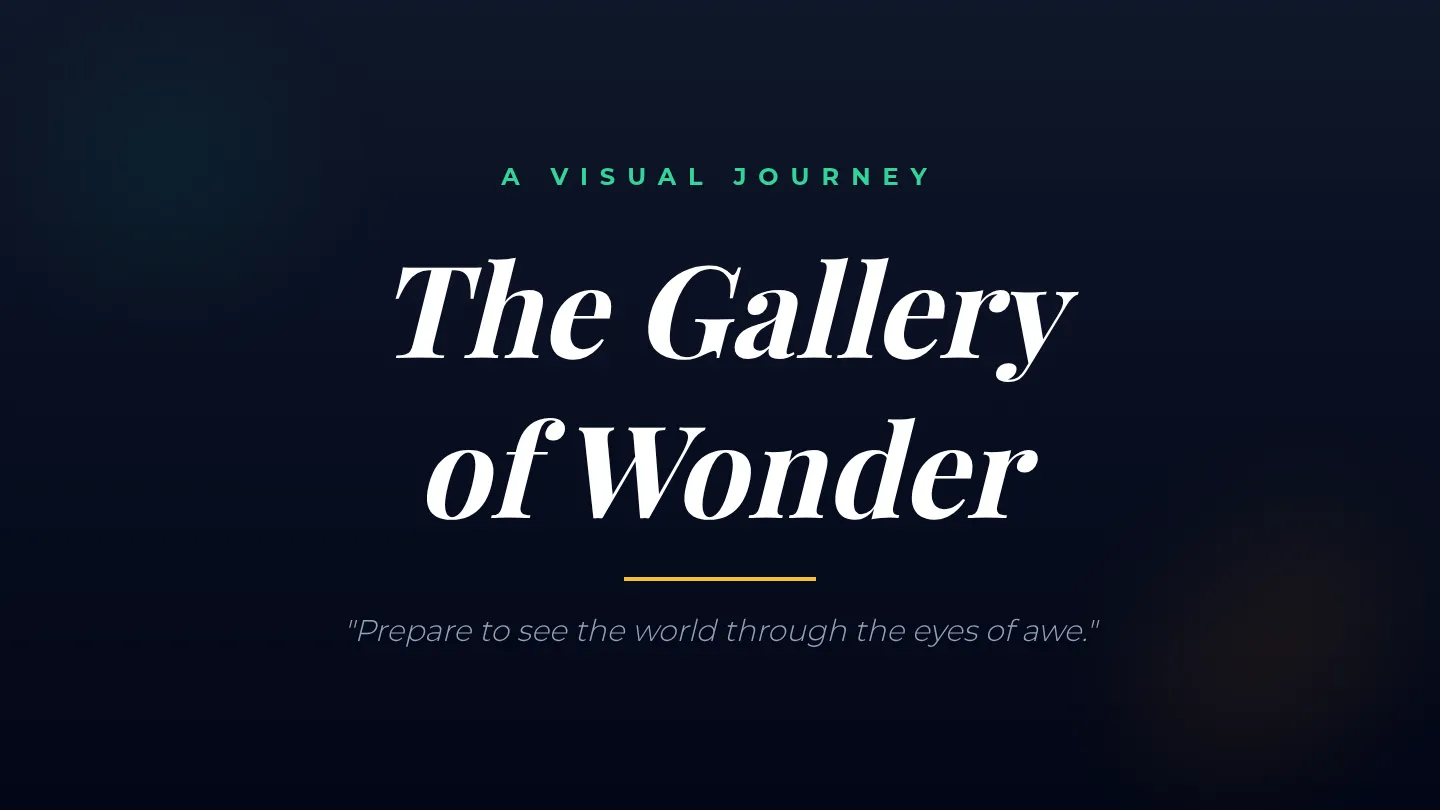 Gallery of Wonder Slides