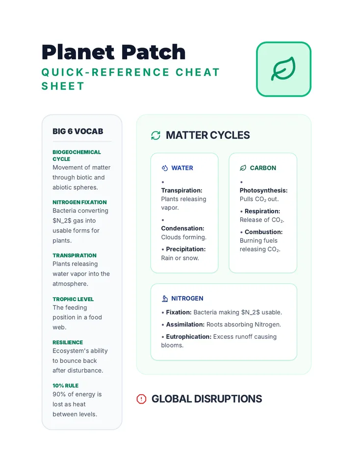 Planet Patch Handout
