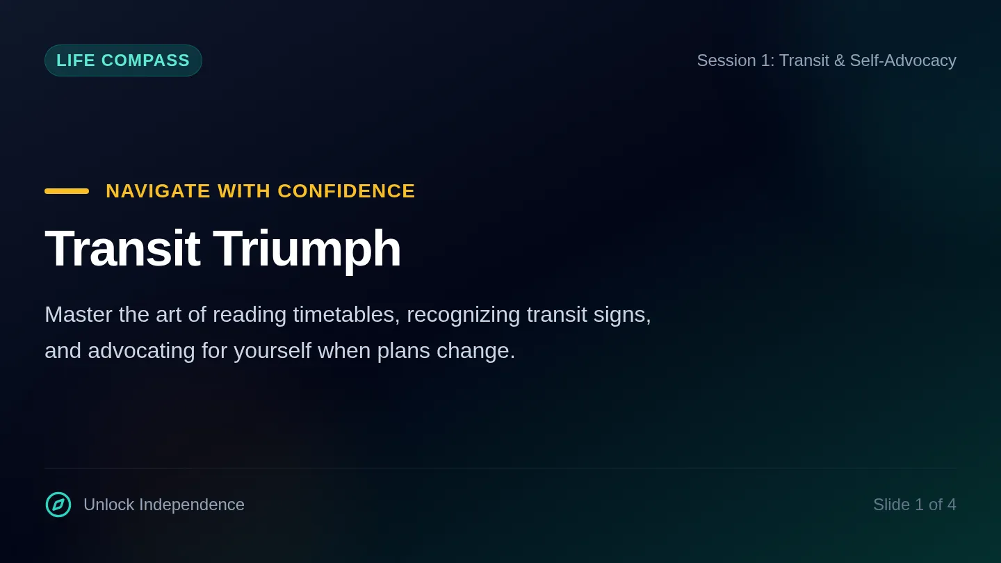 Transit Triumph Slides