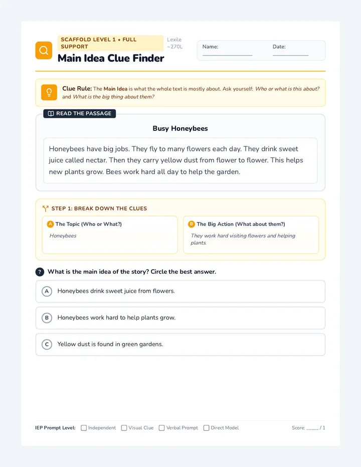 Idea Clues Practice Pages